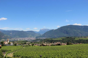 Ferienwohnung Haas Appiano Sulla Strada Del Vino